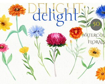 May include: 50 watercolor floral illustrations featuring a variety of flowers in shades of yellow, orange, red, pink, and blue. The flowers are arranged in a whimsical, hand-painted style, perfect for adding a touch of nature to your designs.