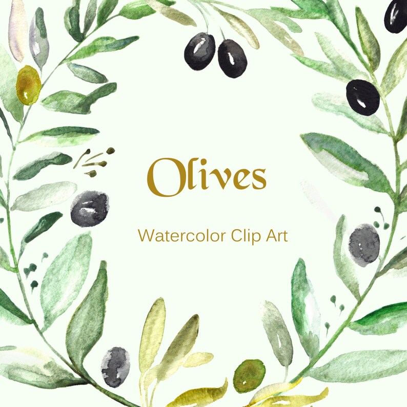 Olives Watercolor clip art hand drawn. Romantic wedding, light green, tender green branches, wedding invitation, wreath and arrangements. image 2