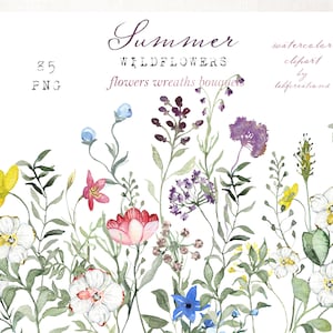 Summer Wildflowers.  Purple  Blue Pink summer field  FLOWERS. Watercolor clipart.