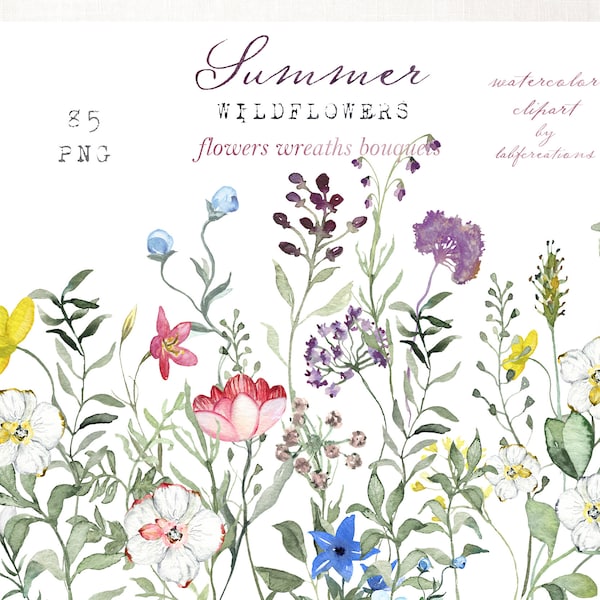 Sommer-Wildblumen. Lila, blau, rosa Sommerfeldblumen. Aquarell-ClipArt.