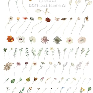 Autumn Wildflowers. 100 Floral Elements. Rust Beige fall FLOWERS. Watercolor clipart. image 2