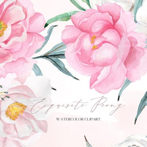 Peony Bouquets.  Exquisite Peony Watercolor Clipart. Soft Pink & White Watercolor Peonies. Bridal Flowers