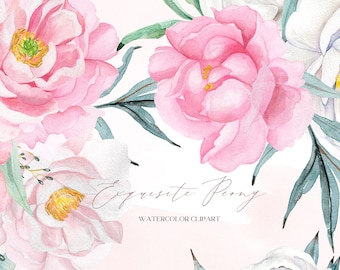 Peony Bouquets.  Exquisite Peony Watercolor Clipart. Soft Pink & White Watercolor Peonies. Bridal Flowers