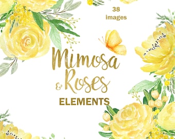 Mimosa & Roses watercolor clipart for spring, hand drawn. Floral Elements. Roses, peony,  spring garden wedding, yellow flowers invitations