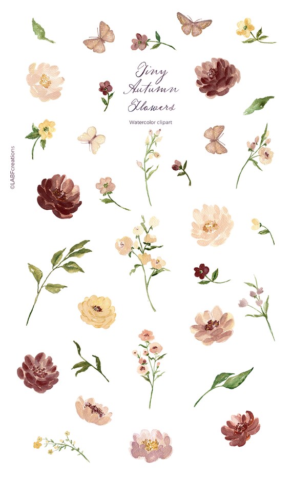 Flores de otoño Flores silvestres . ELEMENTOS. Flores de - Etsy España Flores de otoño Flores silvestres . ELEMENTOS. Flores de - Etsy España