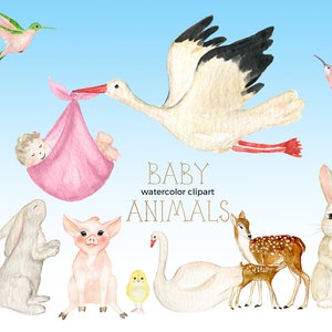 Watercolor Baby Animals Stork with Baby Clipart.  Baby Shower. Nursery art. Kids Watercolor. Baby accessories