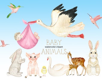 Può includere: Clipart ad acquerello di animali neonati, tra cui una cicogna che trasporta un bambino in un fasciatoio rosa, un maiale, un coniglio, un cigno, un pulcino e due cervi. Il testo "BABY watercolor clipart ANIMALS" è scritto in lettere dorate.