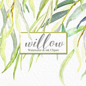 Rami di salice clipart acquerellati dipinti a mano. Colori romantici, verde, giallo, loghi.