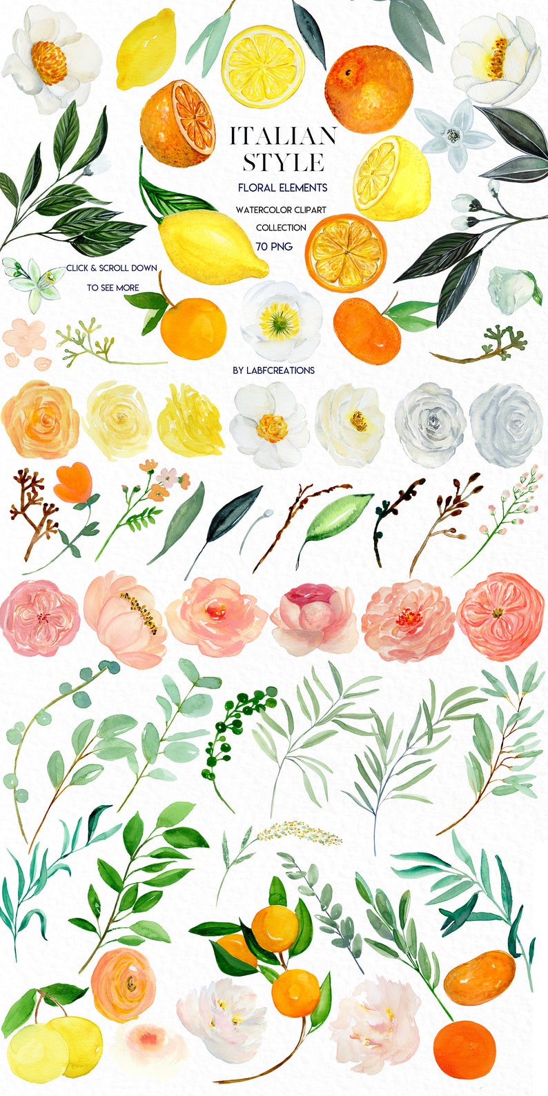 Italian Style. Floral Elements. Peach,yellow and white roses clip art, hand drawn. Lemons, oranges, citrus. Watercolor clip art . image 1