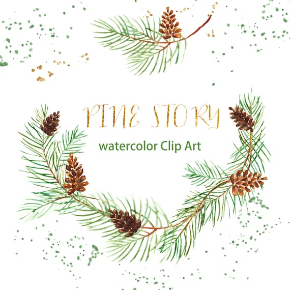 Pine Watercolor clip art hand drawn. Winter watercolor, light green, tender green branches, wedding invitation, wreath and arrangements.