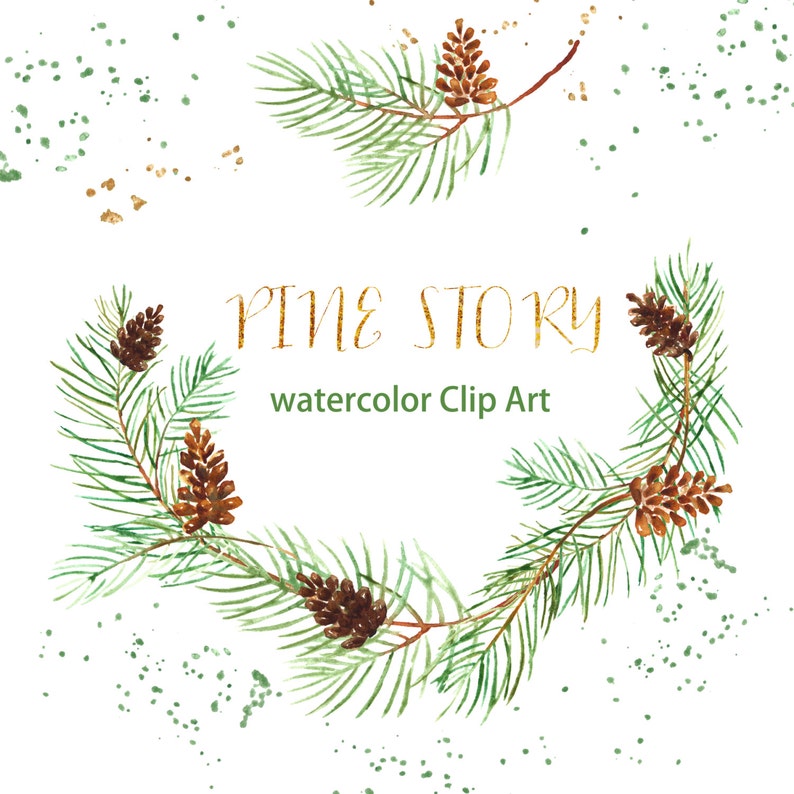 May include: Watercolor clip art featuring a pine branch with pine cones and gold glitter. The text "PINE STORY" is written in gold script with the words "watercolor Clip Art" below it.