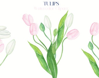 Watercolor Tulips png clipart Spring Pink White tulip flowers clipart Spring floral clipart Wedding invitation card clipart Digital PNG