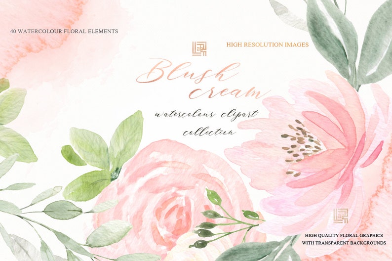 Blush cream watercolour flowers clipart, hand drawn: Elements, textures, patterns, washes. Soft blush pink and peach colors. Peonies. image 1