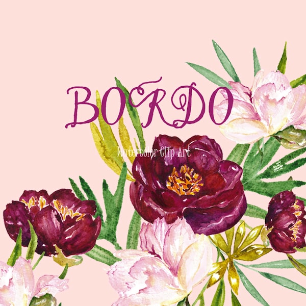 Peony Bordo, watercolor clipart, Digital clipart hand drawn. Romantic wedding,  superior, pink flowers cards, maroon peony, invitations
