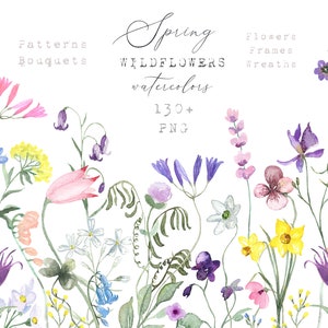 Flores silvestres da primavera. FLORES de primavera rosa blush e amarelo. Clipart aquarela.