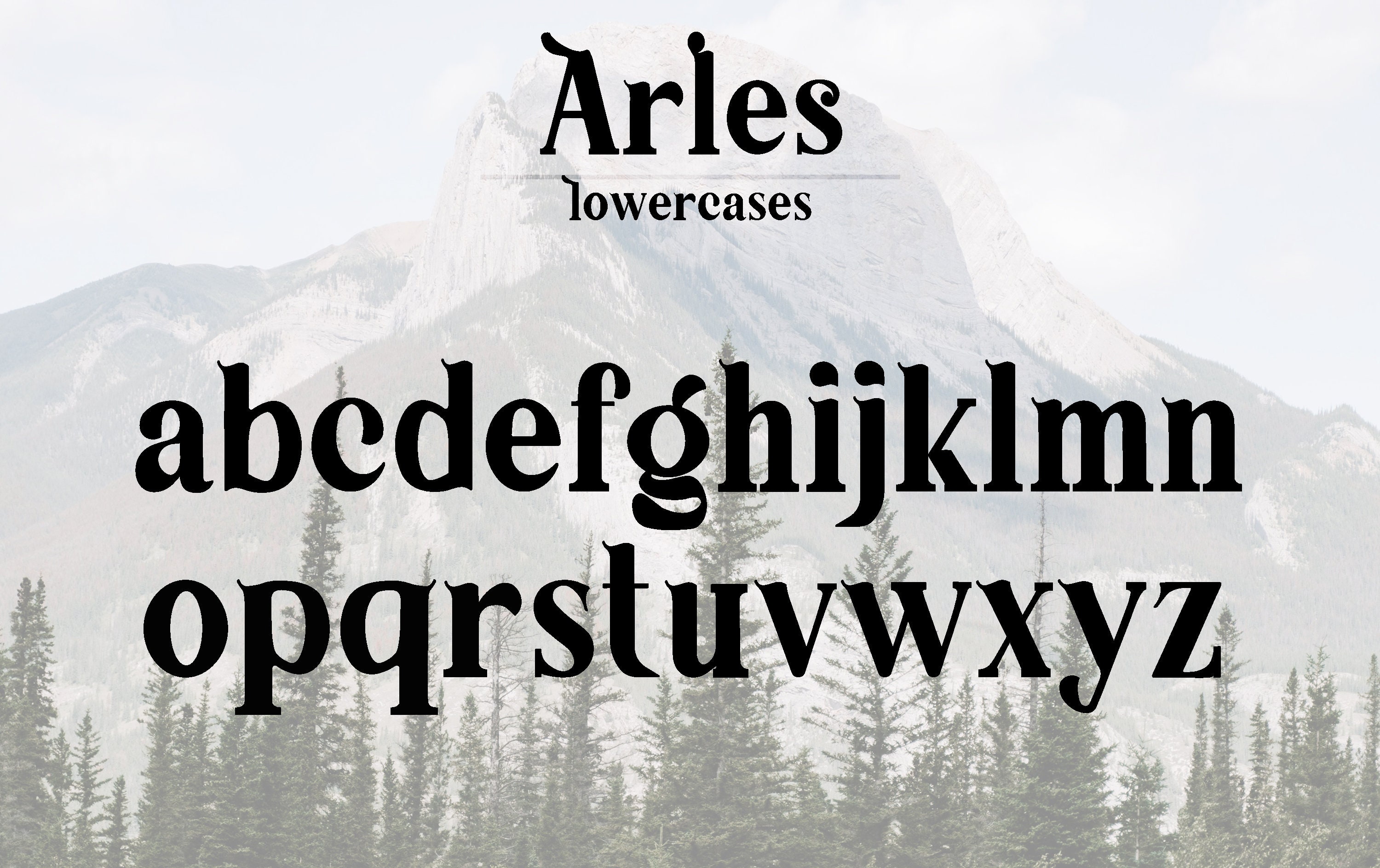 Arles . Vintage & Chic Serif Font a Lot of Alternative Characters ...
