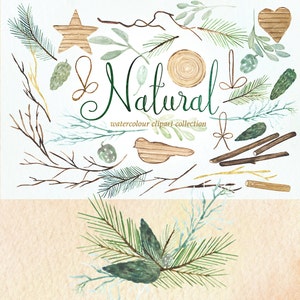 Natural winter forest PINE watercolor Clipart Winter watercolor, mint green, branches, wedding invitation, wreath and arrangements, wood. image 4