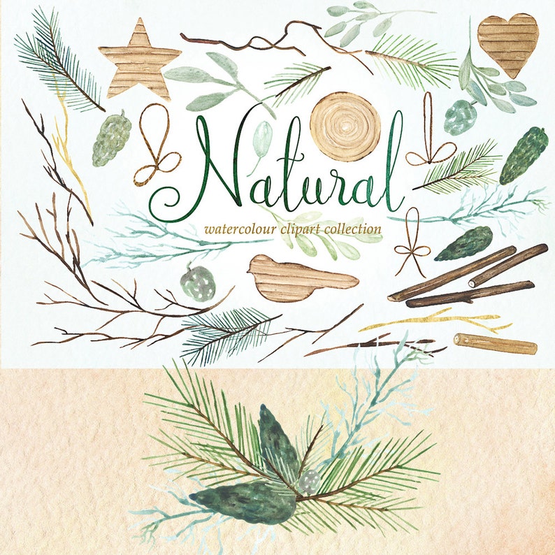 Natural winter forest PINE watercolor Clipart Winter watercolor, mint green, branches, wedding invitation, wreath and arrangements, wood. image 4