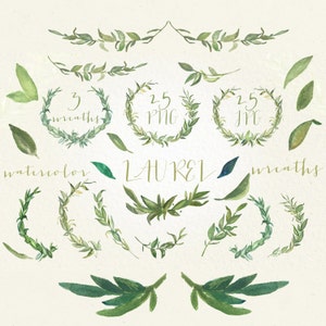 Laurel Wreaths and foliage watercolor Clipart peinte à la main. Aquarelle. Laurel Wreath, vert, olivier, couronne, logos, laurier