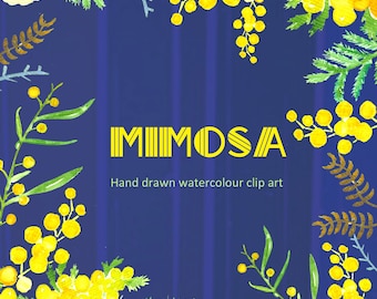 Mimosa.Watercolor Clipart digital Hand Drawn. Romantic wedding clipart, Yellow bright flowers, spring, fresh floral disign, watercolour