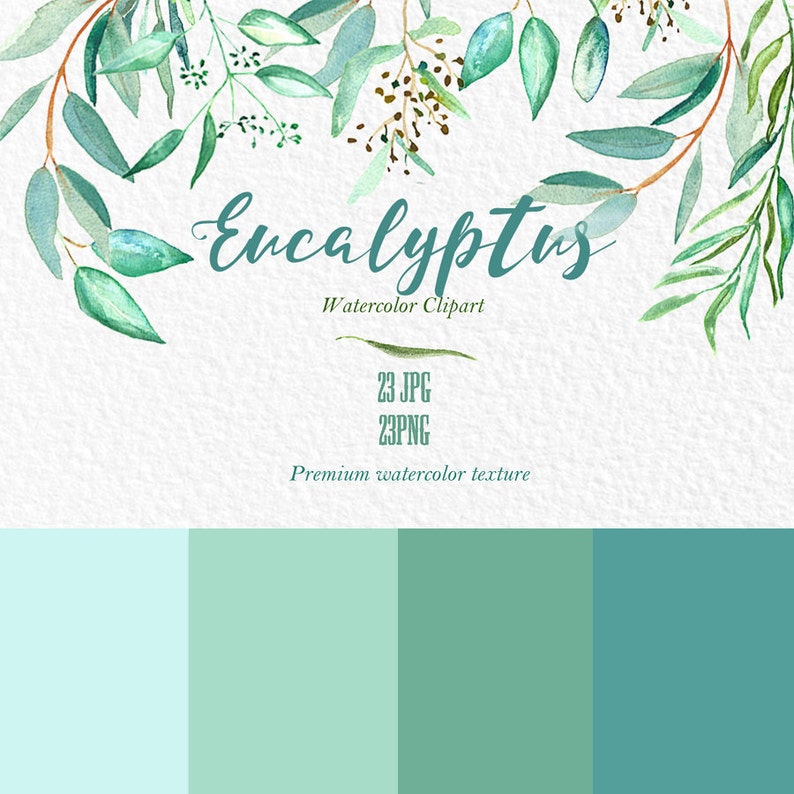 tender green branches Romantic wedding wedding invitation. mint green Eucalyptus branches watercolor clipart hand drawn