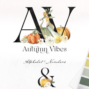 Alphabet & Numbers With Pumpkins and Black Letters  Autumn Vibes. Rust Beige fall FLOWERS. Watercolor clipart.