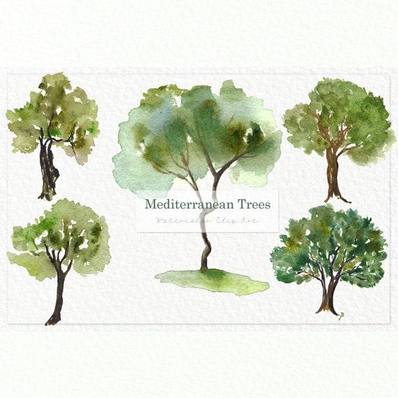 Mediterrane Baume Handbemalte Digitale Clipart Aquarell Etsy