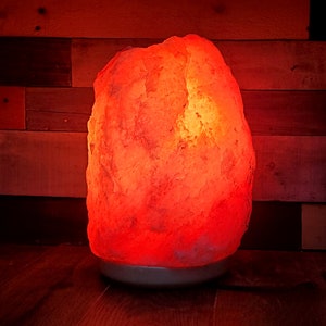 LARGE 9 Himalayan Salt Lamp Foot and Hand Detox Dome FREE SHIPPING