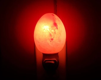 Himalayan Salt Night Light plug-in Egg Shaped Symbol for New Life Rebirth New Beginnings