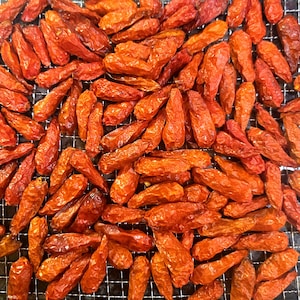 Może przedstawiać: Duża kolekcja suszonych czerwonych papryczek chili ułożonych na metalowej kratce. Papryczki są pomarszczone, mają odcienie od jasnopomarańczowego do ciemnoczerwonego i są gęsto rozmieszczone na całej powierzchni metalowej siatki.