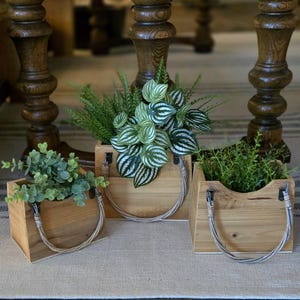 May include: Three wooden planter boxes with rope handles, each containing a different type of green plant. The boxes are made of natural wood and have a rustic look.