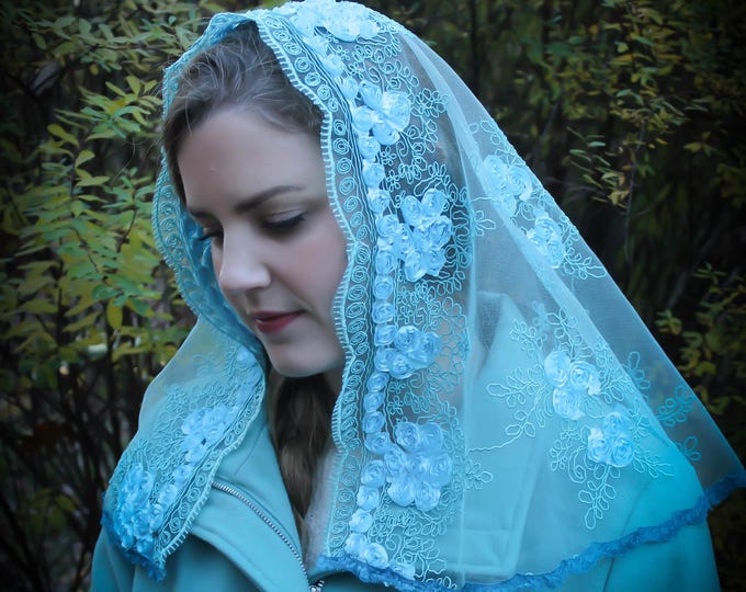 Evintage Veils~ Raining Roses Embroidered Lace Chapel Veil Mantilla Latin Mass