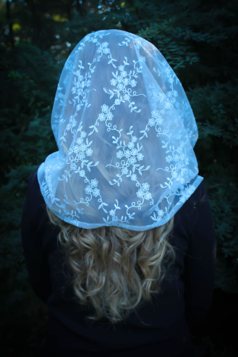 May include: A white lace veil with floral embroidery. The veil is sheer and delicate, with a soft, flowing texture.