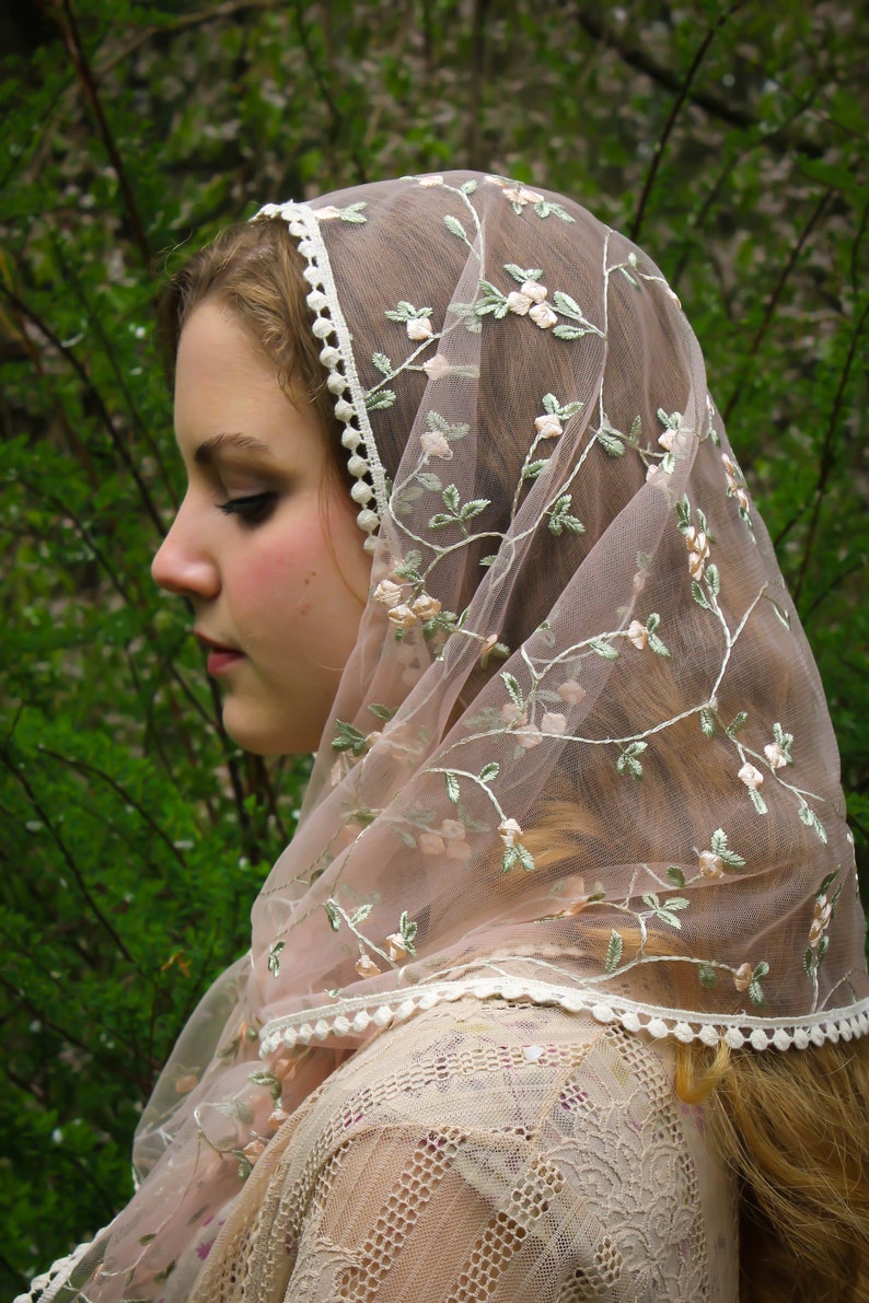 May include: A sheer, blush-colored veil with delicate floral embroidery and a scalloped edge. The veil is adorned with embroidered flowers in shades of pink and green. The veil is draped over the head and shoulders.