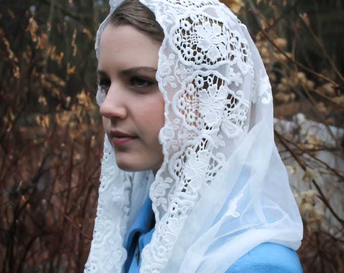 Evintage Veils~Joyful Mysteries  Embroidered Roses  Cream White Infinity Chapel Veil Mantilla Latin Mass