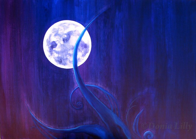 Lilly blue moon