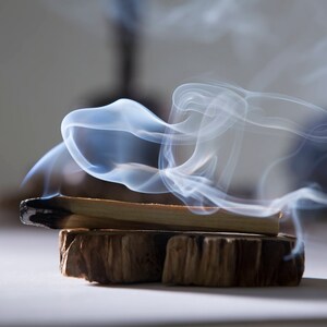 Palo Santo 1 LB