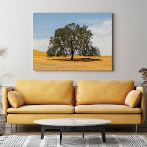 California oak tree, California landscape, nature photography, rustic wall art, California fine art, farm house print,  central valley