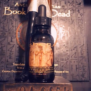 Phase 1  TheGolden Elixir