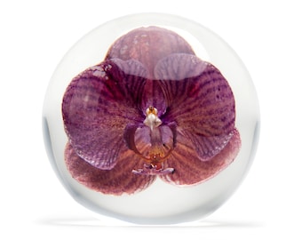 May include: A single purple orchid flower encased in a clear glass sphere. The flower is preserved and displayed in a decorative, spherical glass orb.