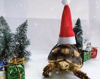 Silly Santa pet hat critter accessory