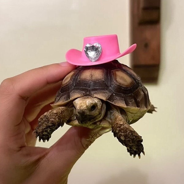 Cute cowboy pet hat critter accessory