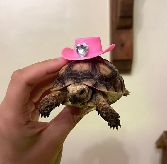 3 styles! Cute cowboy pet hat critter accessory in pink brown or cow print