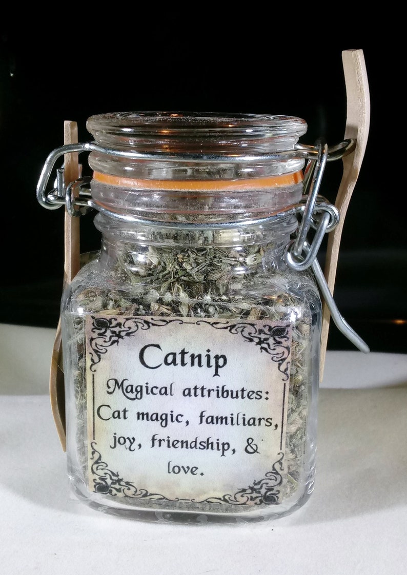 Catnip Herb & Jar Etsy