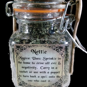 Nettle Herb & Jar