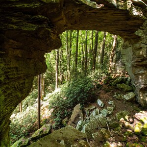 May include: A natural stone archway in a forest setting. The archway is formed by a large rock formation with a natural opening, revealing a view of the lush green trees beyond. The forest floor is covered in rocks and foliage.