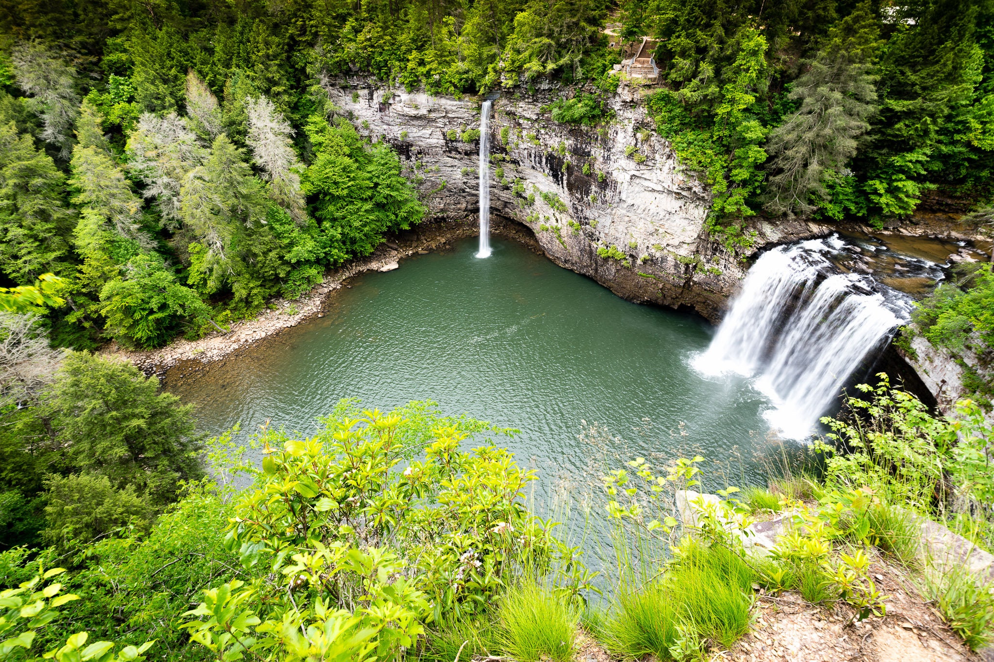 Are Dogs Allowed At Fall Creek Falls State Park