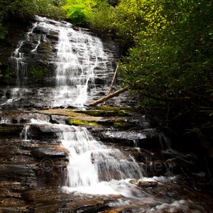 Spoonauger Falls, Waterfalls, Waterfall, Mountain Rest, SC, Burrells Ford, Chattooga River Trail, Landscape Photograph Print, Frannie Dilley
