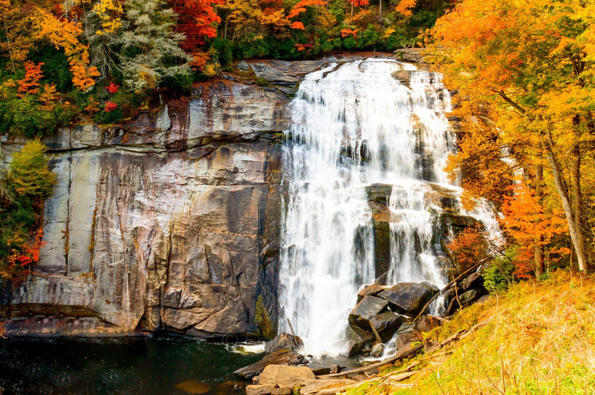 Rainbow Falls Gorges State Park North Carolina Fall Leaves - Etsy
