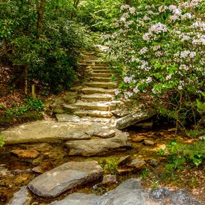 Hanging Rock, Photograph Print, Wall Art, Home Decor, Canvas, Landscape Print, North Carolina, Danbury, Winston Salem, Mountain Laurels